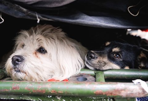 摄影 - 南京（丹凤街）