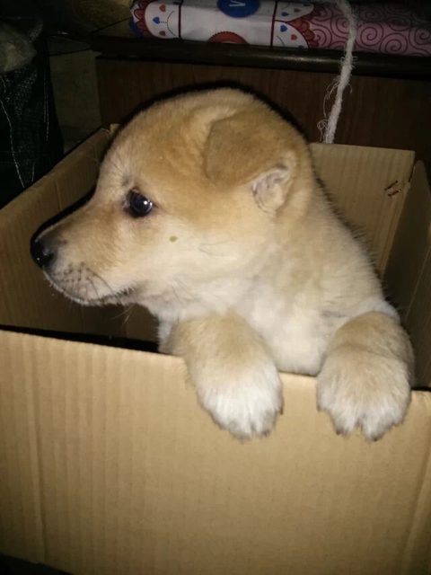 日记-格林翰特（2014-11-19冬）