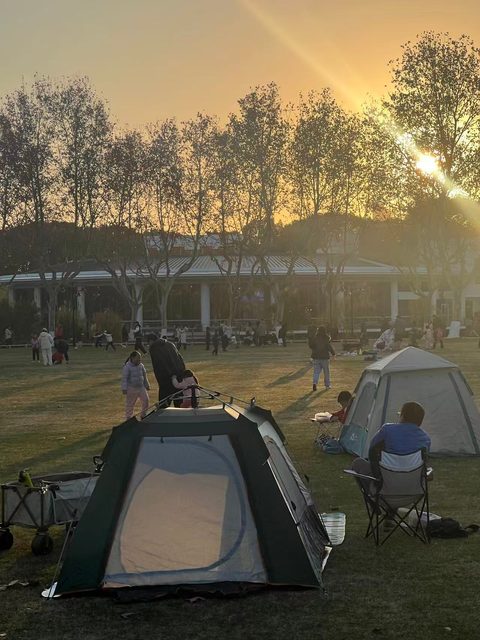 日记（2025-01-01冬）