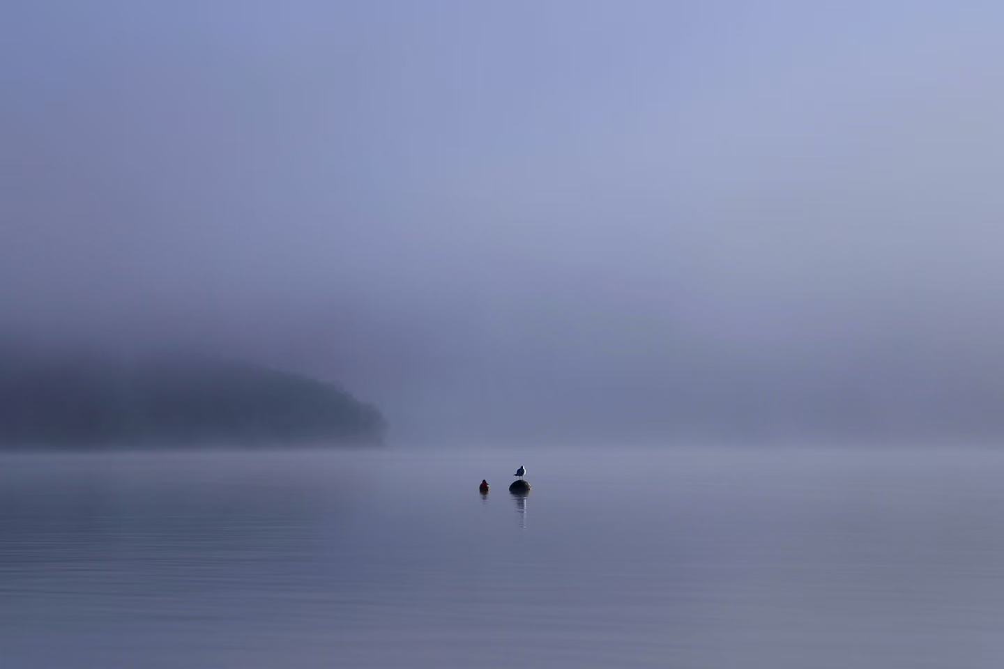 2023-11-10于苏格兰